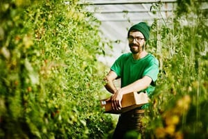 a person in a green shirt holding a box in a greenhouse