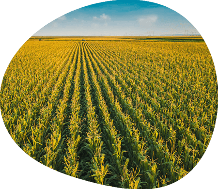 2023-12-28_img_horticulture_body_2