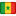 867c9bdd-748068-flag-senegal-icon_1000000000000000000028
