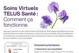 FR-3_Ce-que-vous-devez-savoir_THVC-1