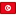 da1330d5-748100-flag-tunisia-icon_1000000000000000000028
