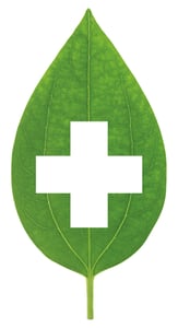 Ubik leaf Ubik leaf