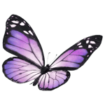 th-sales-footer-butterfly-300x300