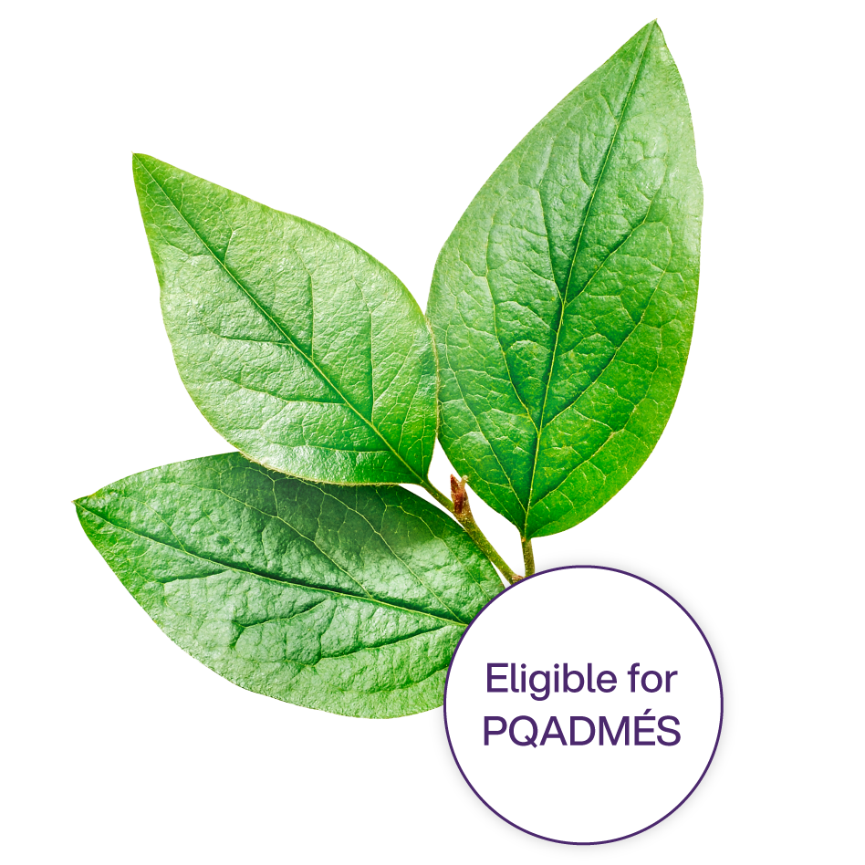 THS3983-2022-Specialist-Campaign---_WEB-PAGE-PROMO-BLOCK_-EN-3 THS3983-2022-Specialist-Campaign---_WEB-PAGE-PROMO-BLOCK_-EN-3