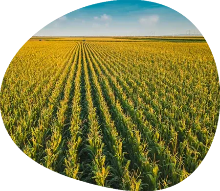 2023-12-28_img_horticulture_body_2